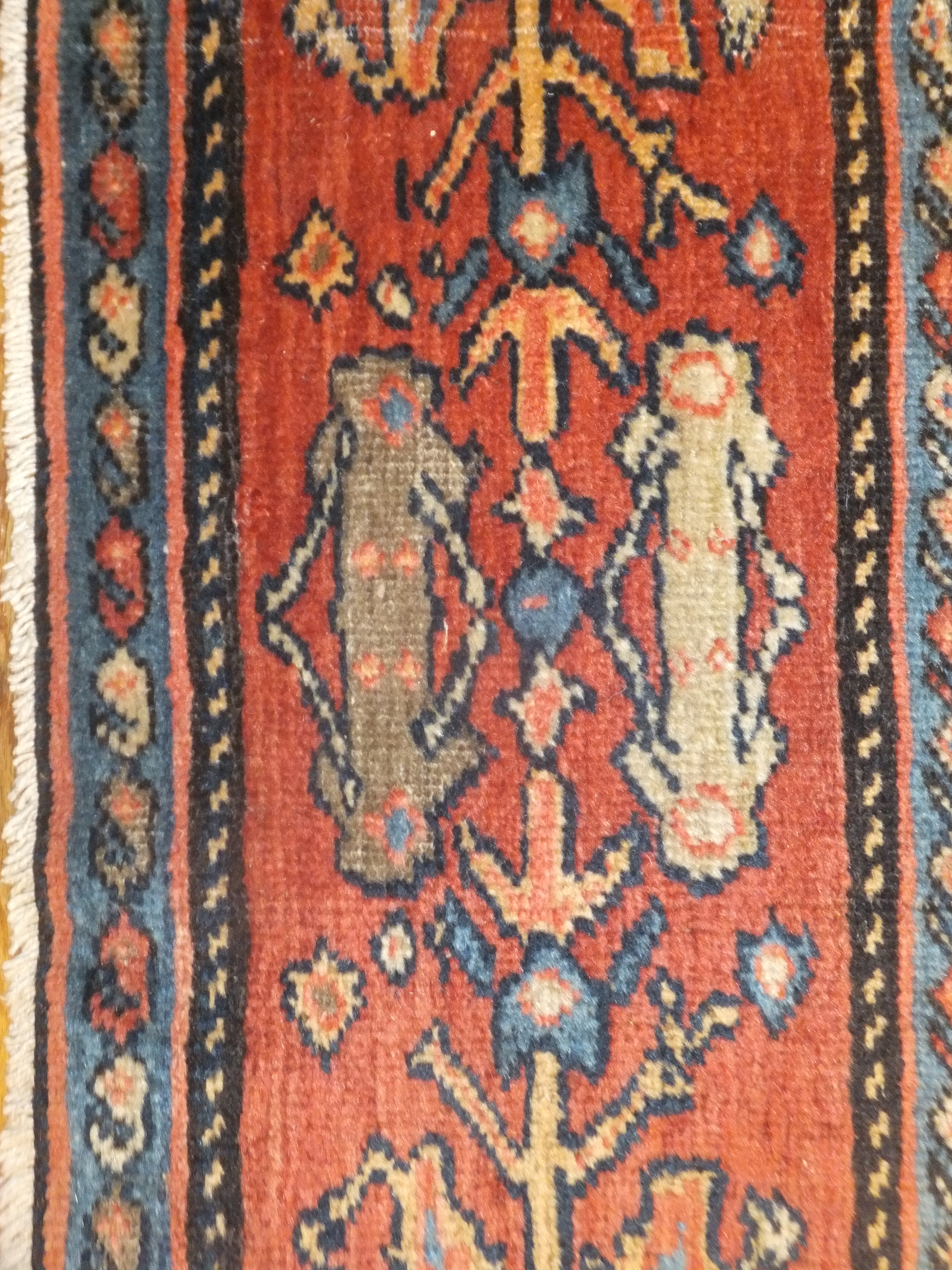 Rug image